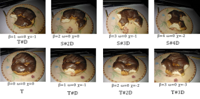 delicious-surfaces.jpg