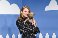 Emma_Stone_-_The_Late_Show_with_Stephan_Colbert_on.jpg