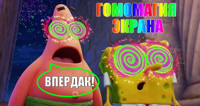 Гомомагия-экрана.jpg