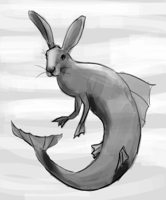 merhare.jpg