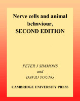 Peter_J._Simmons,_David_Young-Nerve_Cells_and_Anim.pdf