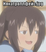 macro-някатроллфейс-jpg.png