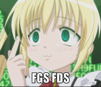 macro-fgs-fds.png