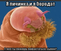 macro-я-личинка-и-я-бородат.png