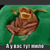 macro-а-у-вас-тут-мило.png