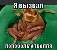 macro-я-вызвал.png