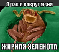 macro-я-рак-и-вокруг-меня.png