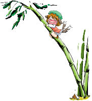 chen_palm_transparent.png