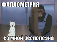 macro-фаллометрия.png