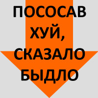 1266327523261.png
