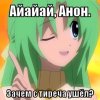 macro-айайай-анон.png