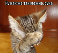 macro-ну-как-же-так-можно-сука.png