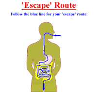 No_Escape_route.png