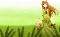 Konachan.com - 75817 green horo jpeg_artifacts spice_and_wolf.png