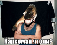 macro-наркоман-чтоли.png