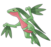 Grovyle.png