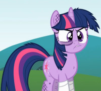 1026 - angry twilight_sparkle.png