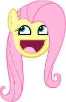 5515 - Awesome_Face fluttershy meme parody.png