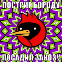 macro-winged_постриг бороду посадил занозу.png