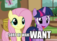 Want_twilight_fluttershy.png