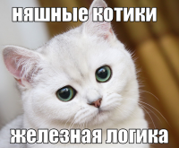 macro-няшные-котики.png