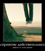 motivator-восприятие-действительности.png