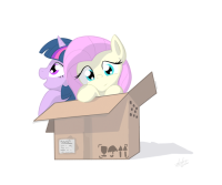 91561%20-%20artist%3Azlack3r%20artist%3Azlacker%20cute%20fluttershy%20package%20twilight_sparkle[1].png