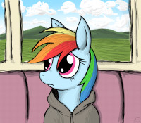 rainbow_dash___who_needs_friends__by_zirbronium-d4na5jw.png