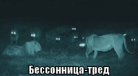 macro-бессонница-тред.png