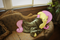 fluttershy IRL sleep.png