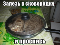 macro-залезь-в-сковородку.png