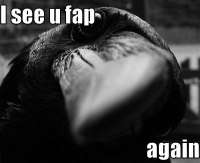 macro-i-see-u-fap.png