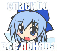 cirno_got_it.png