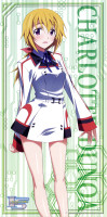 yande.re-201855-charlotte_dunois-infinite_stratos.png