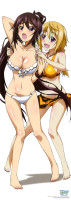 yande.re-201859-bikini-charlotte_dunois-cleavage-i.png