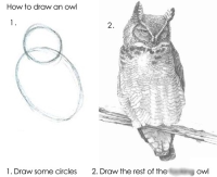 drawOwl.png