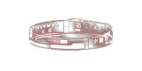 digital_ring-alpha-channel1.png