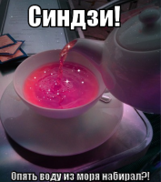 macro-синдзи.png