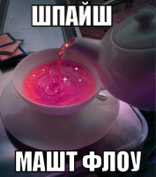 macro-шпайш.png