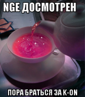 macro-nge-досмотрен.png