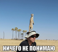 macro-ничего-не-понимаю.png