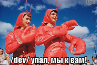 macro-dev-упал-мы-к-вам.png