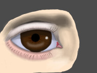 Perfect_Eye.png