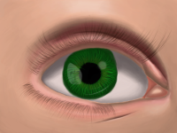 Perfect_Eye.png