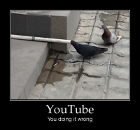 motivator-youtube.png