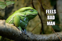 Sad+Frog+Is+That+You+.+Stumbled+on+this+picture.+R.png