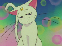 Sailor-Moon-Super-S-14-(141)-[DVDRip-960x720-x264.png