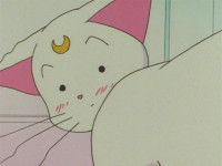 Sailor-Moon-Super-S-14-(141)-[DVDRip-960x720-x264.png