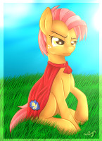 babs_seed_by_zynnekrai-d7fp8hs.png