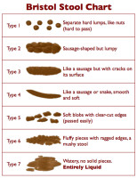 Bristol_Stool_Chart[1].png